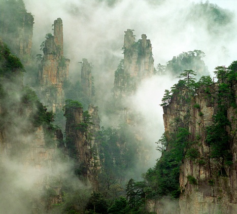 Zhangjiajie National Forest